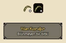 15 ADET - YILAN KUYRUĞU +LI