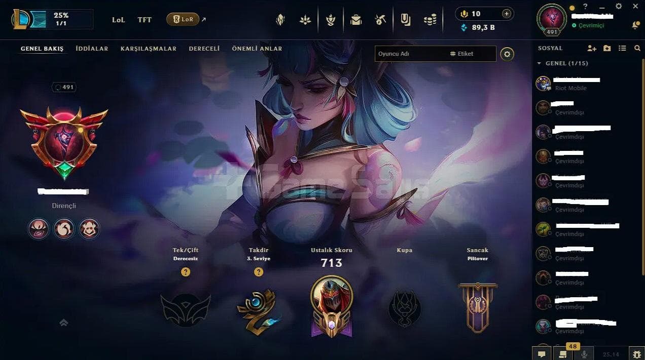 TR/ 491 LV / 252 SKIN / FULL HERO / 89.000 MAVİ ÖZ