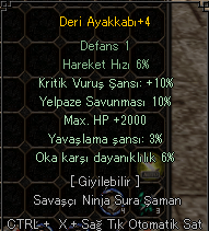 ELİT AYAKKABI !! 2000 HP 10 KRİTİK !!