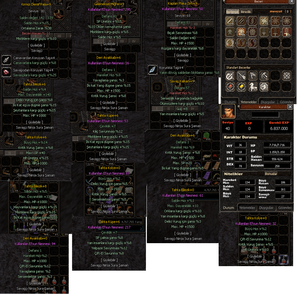 40 LEVEL VADİLİK SAVAŞÇI