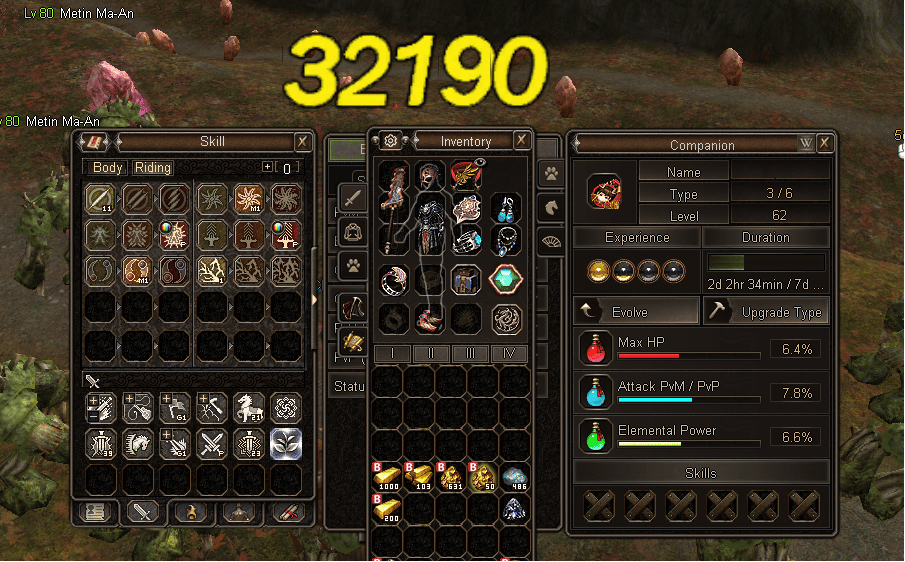 32k metin dmg - 81lvl - ejder cata - 5t yang