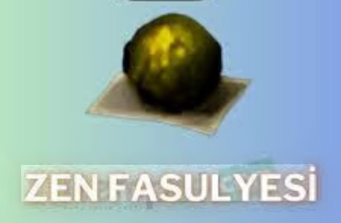 Zen Fasulye (35)