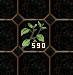 590 adet soluk kır otu ho