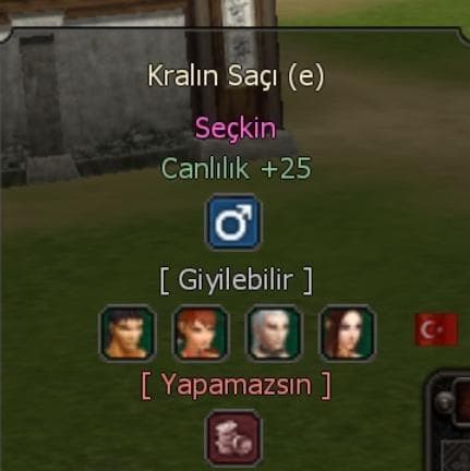 KRALIN SAÇI ERKEK