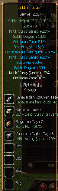 YILDIRIM PALASI 220 lvlik silah