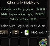 KAHRAMANLIK MADALYONU
