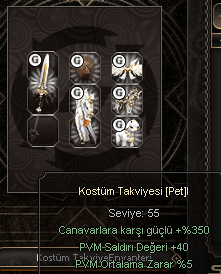 KOSTÜM TAKVİYESİ SET