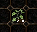 250 adet soluk kır otu