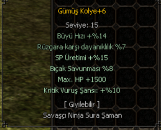 1500 HP - 10 KRİTİK GÜMÜŞ KOLYE BELEŞ