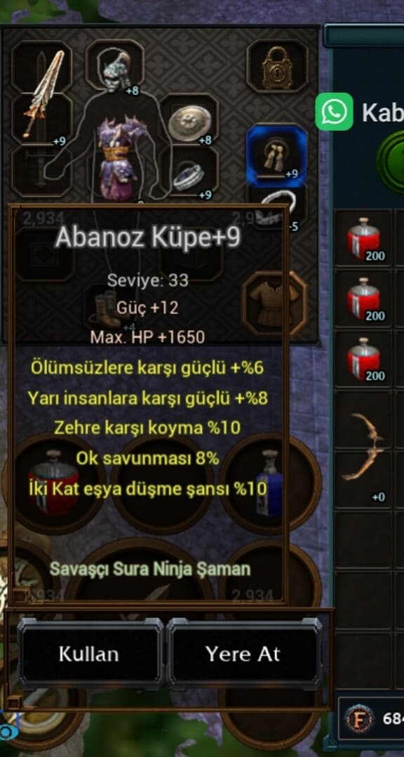 48 LEVEL HAVA P FULL İTEMLİ ATLI