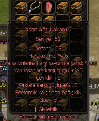 +9 ASLAN AĞZI KALKAN