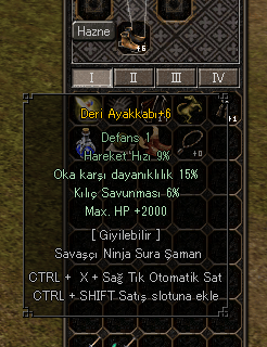 2K HP, 15 OK, 6 KILIÇ DERİ AYAKKABI