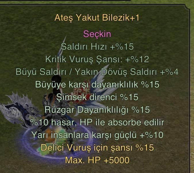 +1 ATEŞ BİLEZİK UYGUN