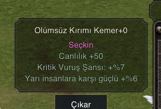 SEÇKİN ATAK KEMER