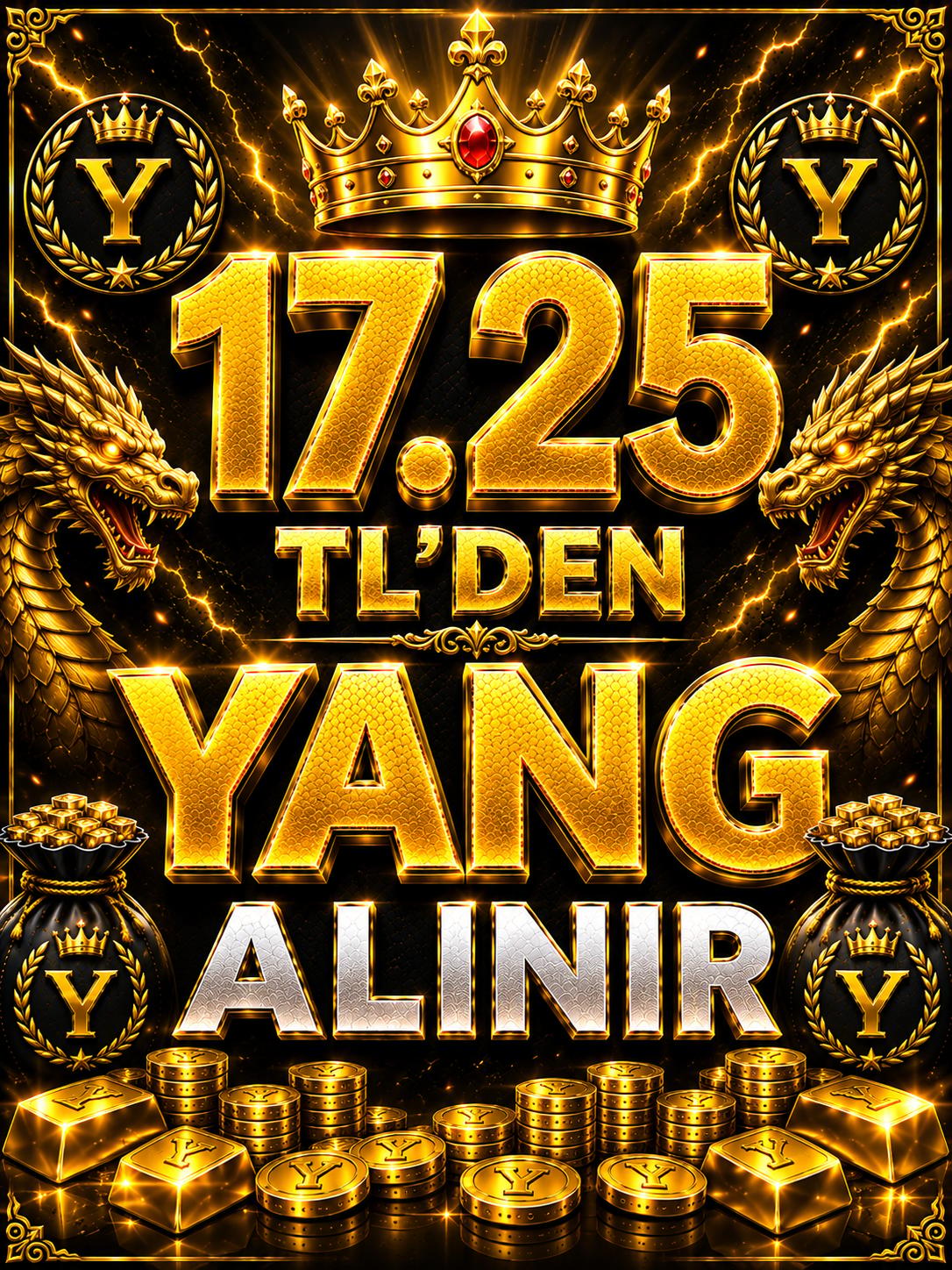 17.25 DAN SINIRSIZ YANG ALINIR