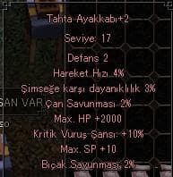 2K HP 10 KRİTİK AYAKKABI