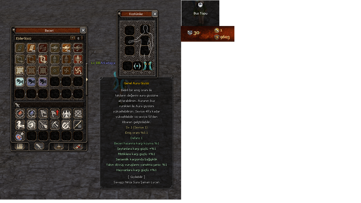 3P LİDERLİK AURALI 100LVL ŞAMAN