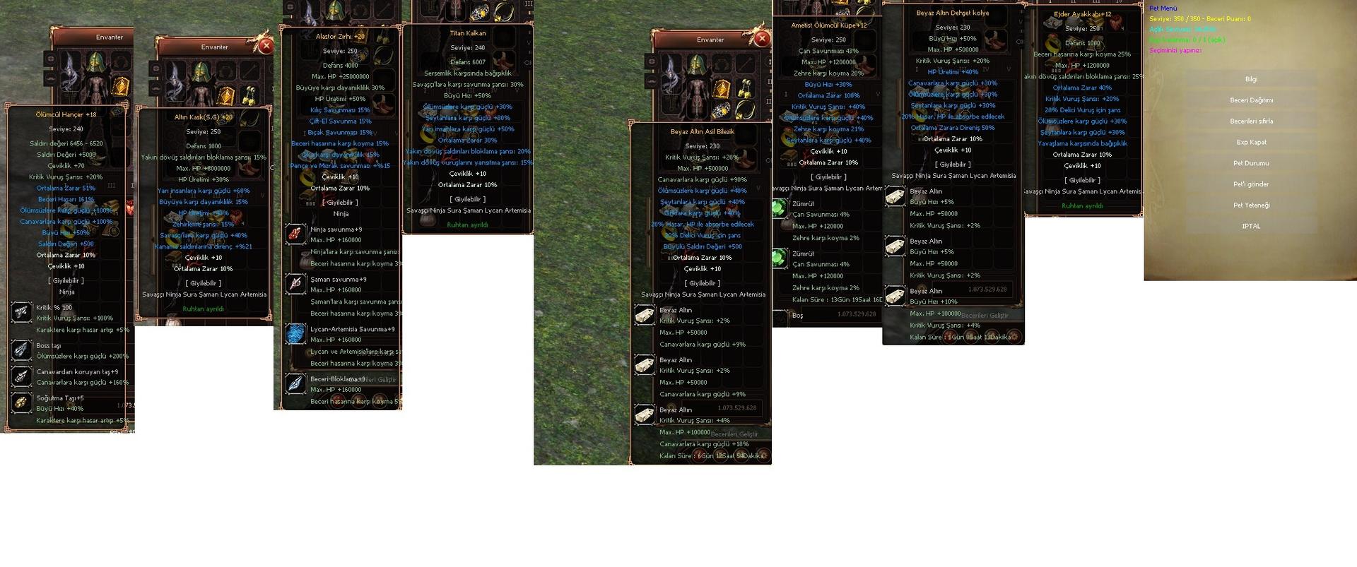 250 lvl 350 çata petli ninja