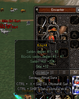 +4 Kılıç 12 güçlü acill