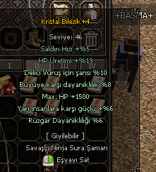 5/5 VSLİK BİLEZİK