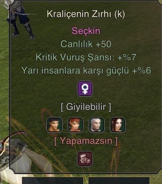 KRALİÇENİN ZIRHI 3 EFSUNLU