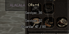 +4 OLTA