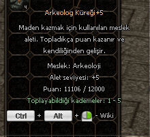 +5 2 ADET KÜREK TEKLİF