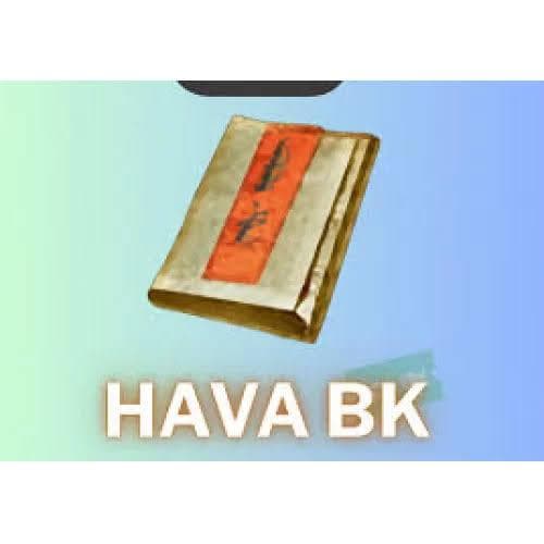 HAVA G SET (55BK VE KÖTÜRUH MÜNZEVİ SET)