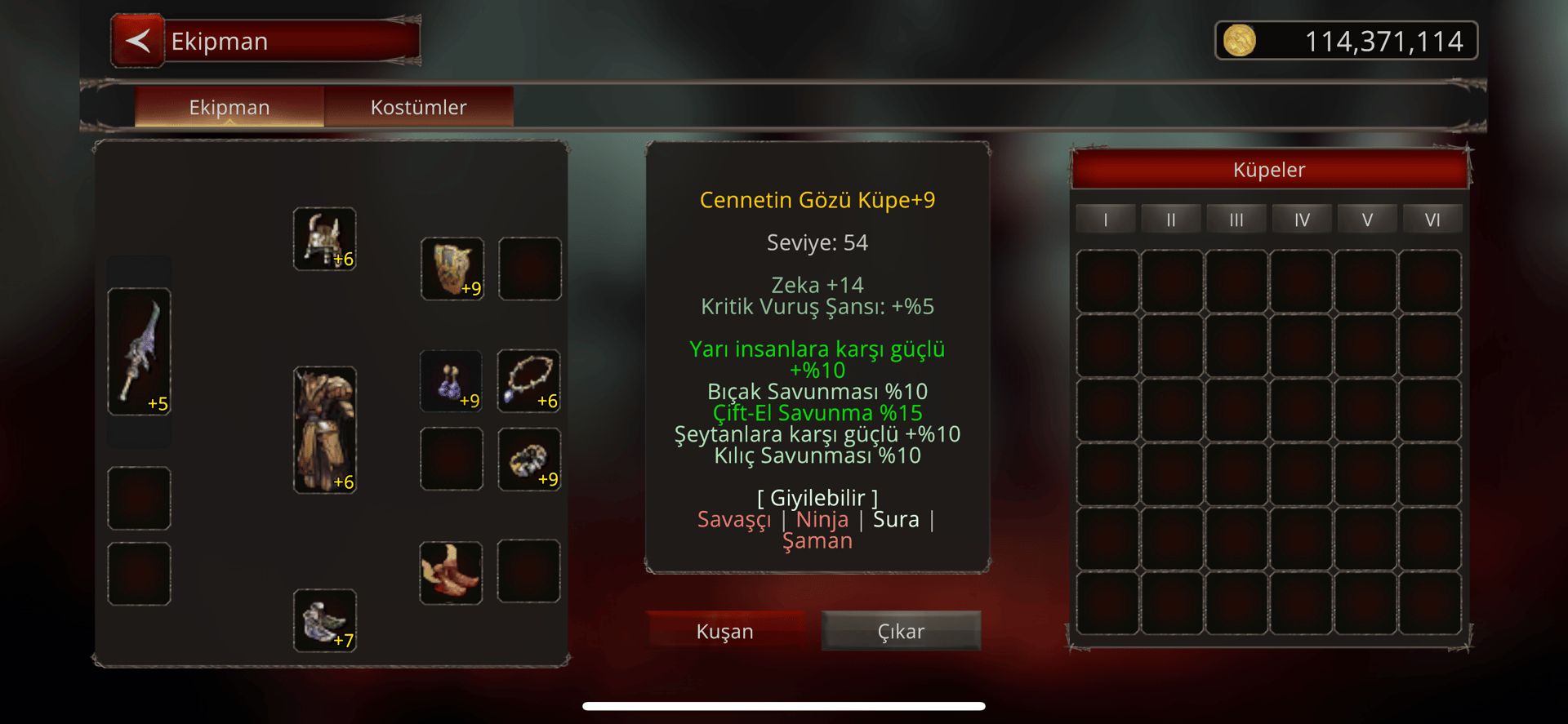 VS LİK ELİT CENNET KÜPE