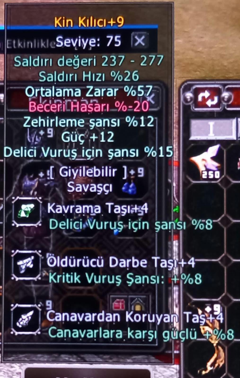 Elit KİN KILICI