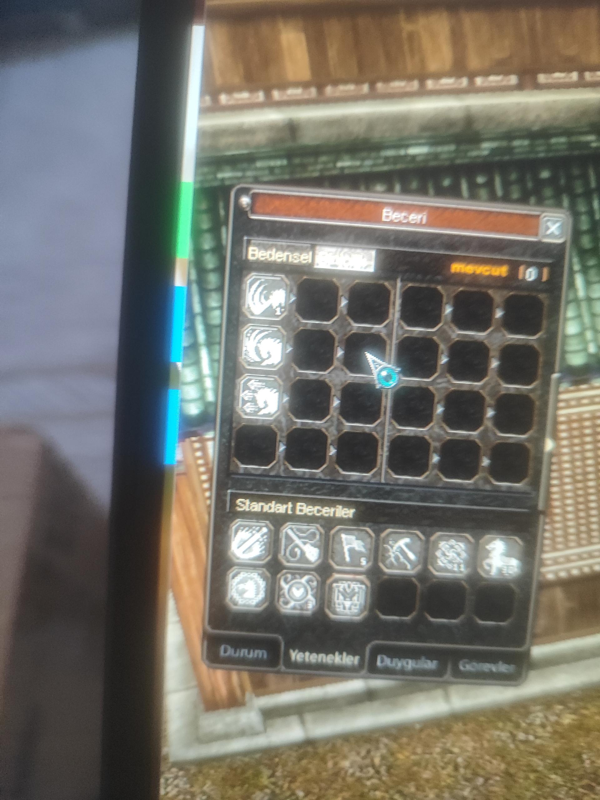 55 lvl savaşçı hava p k.cevirme p at 30lvl 650tl
