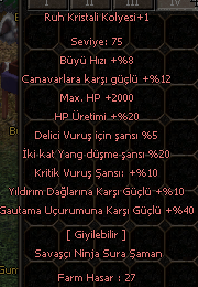 40 GAUTAMA KOLYE STLR