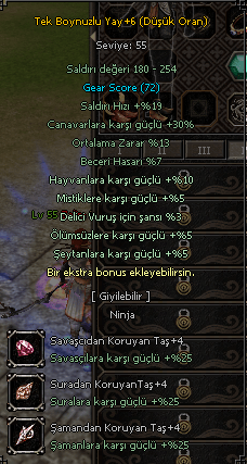 55 LWL WS TURNUVALIK OKÇU HESAP