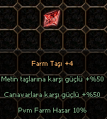 +4 FARM TAŞI
