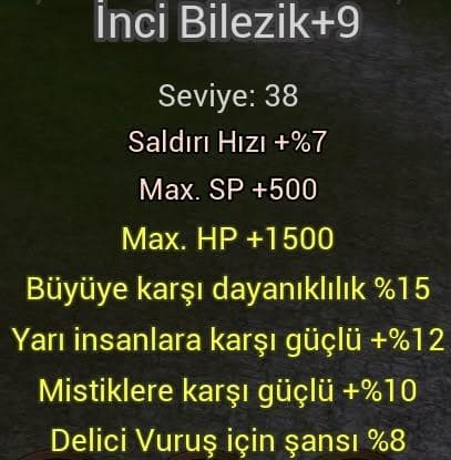 İNCİLERİN İNCİSİ