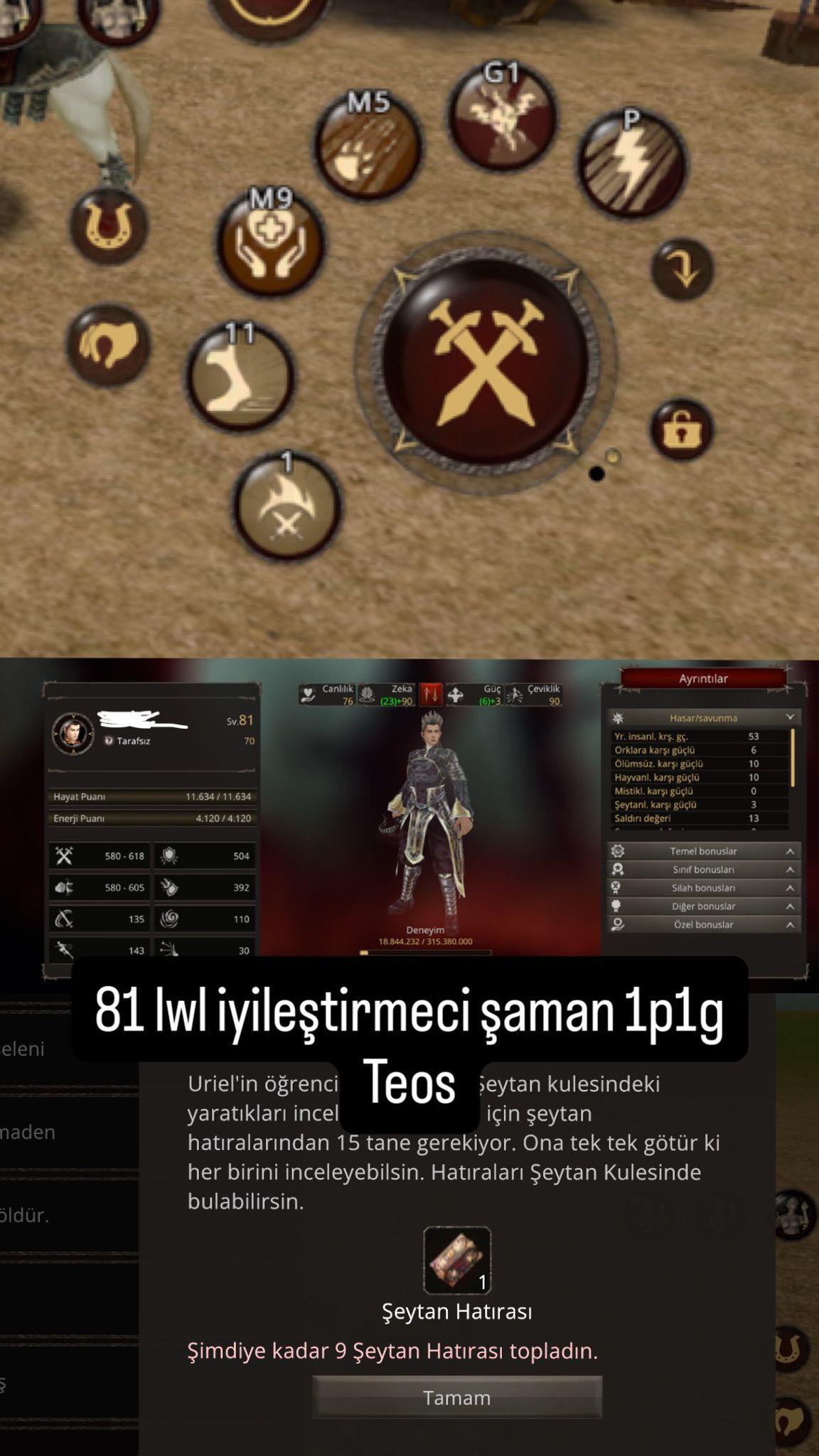 81 LVL İYİLEŞTİRMECİ 1 P 1 G