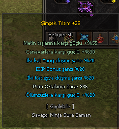 +25 ŞİMŞEK TILSIMI