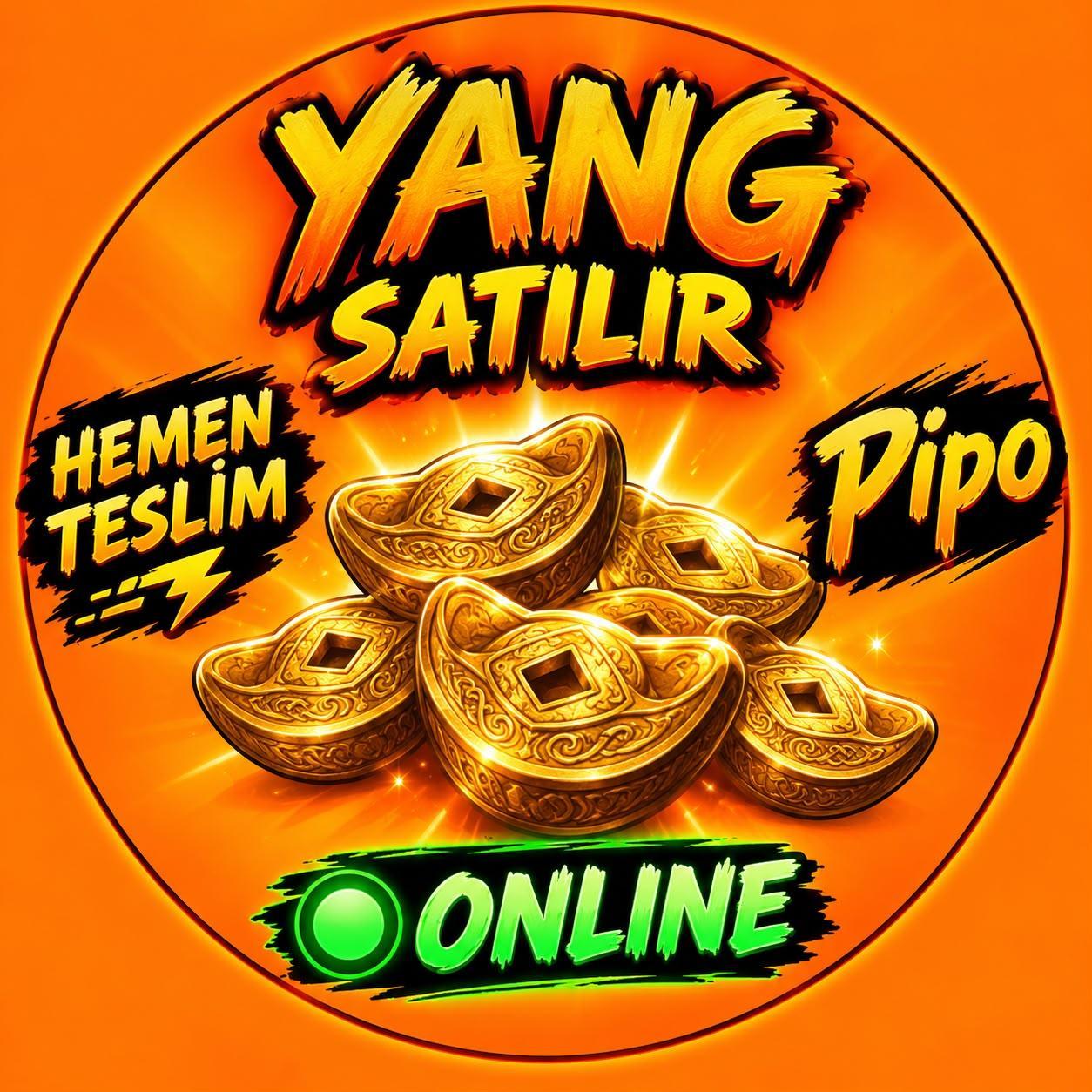 5M YANG - HEMEN TESLİM - ONLİNE
