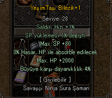2K HP 3 HP ABSORBE 4 BÜYÜ YEŞİMTAŞI BİLEZİK HEMEN TESLİM