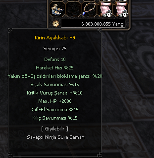 +9 KİRİN AYAKKABI
