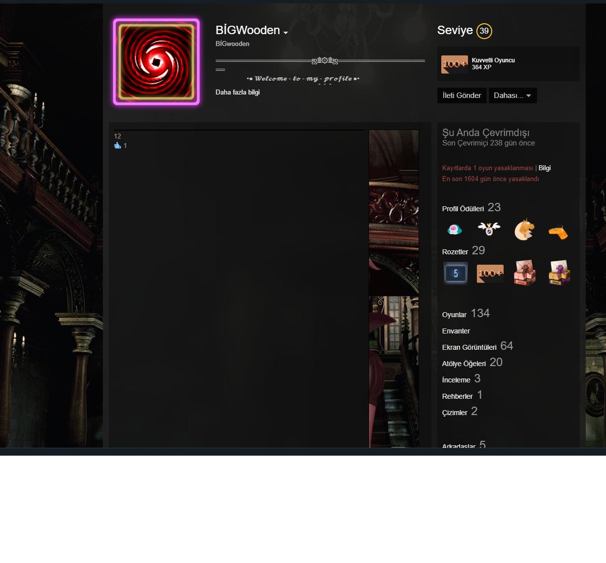 dolu dolu STEAM HESABI