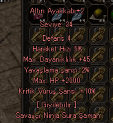 2K HP 10 KRİT 3 EFSUN ALTIN AYAKKABI