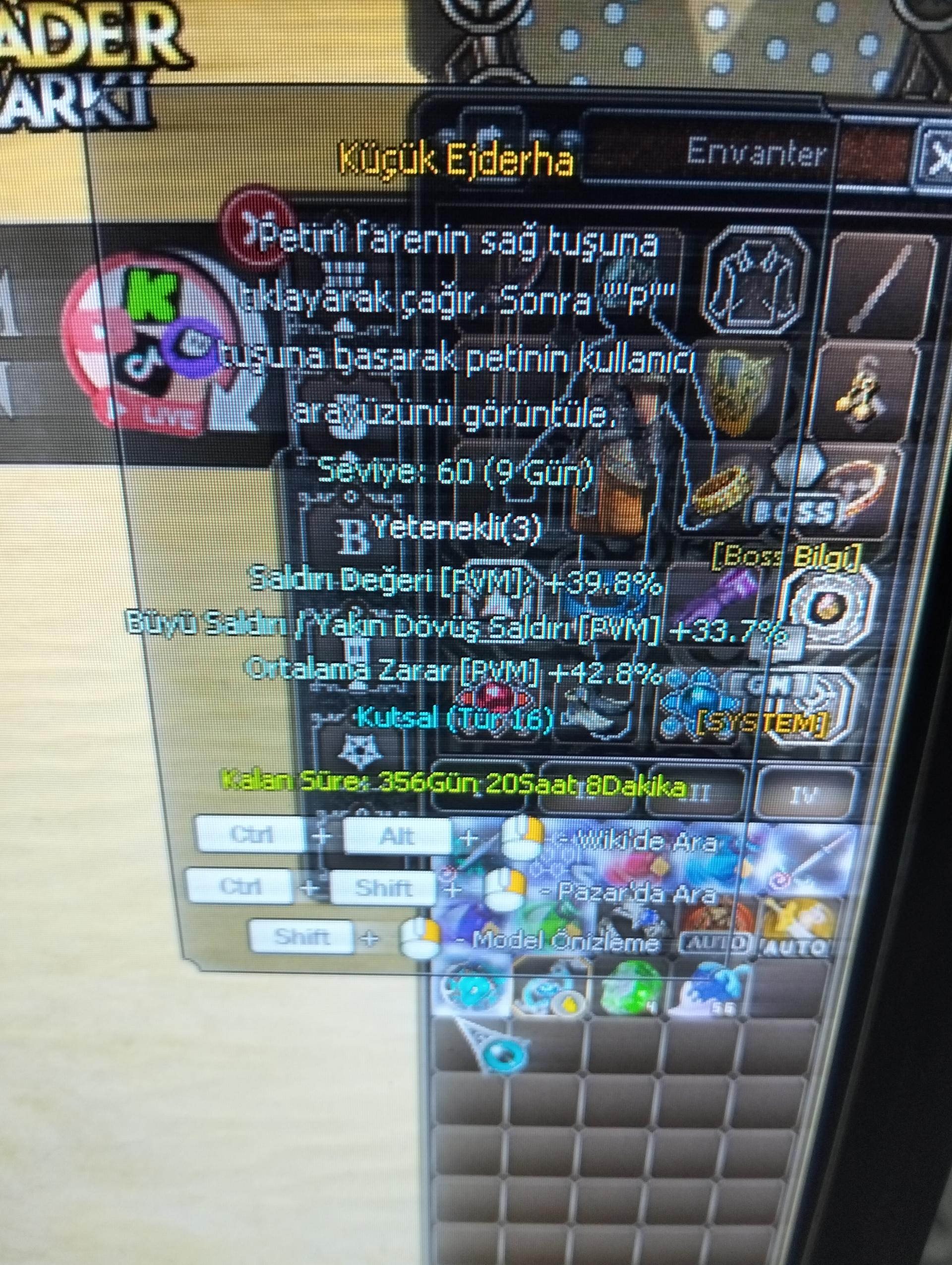 Tip 16 süper efsun pet
