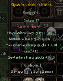 +6 10 YARI 12 GÜC HEM FARM HEM WS SYK
