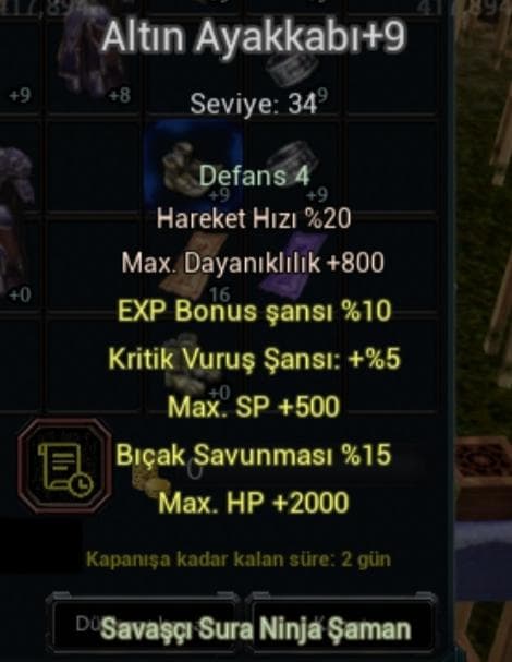 Altın ayakkabı