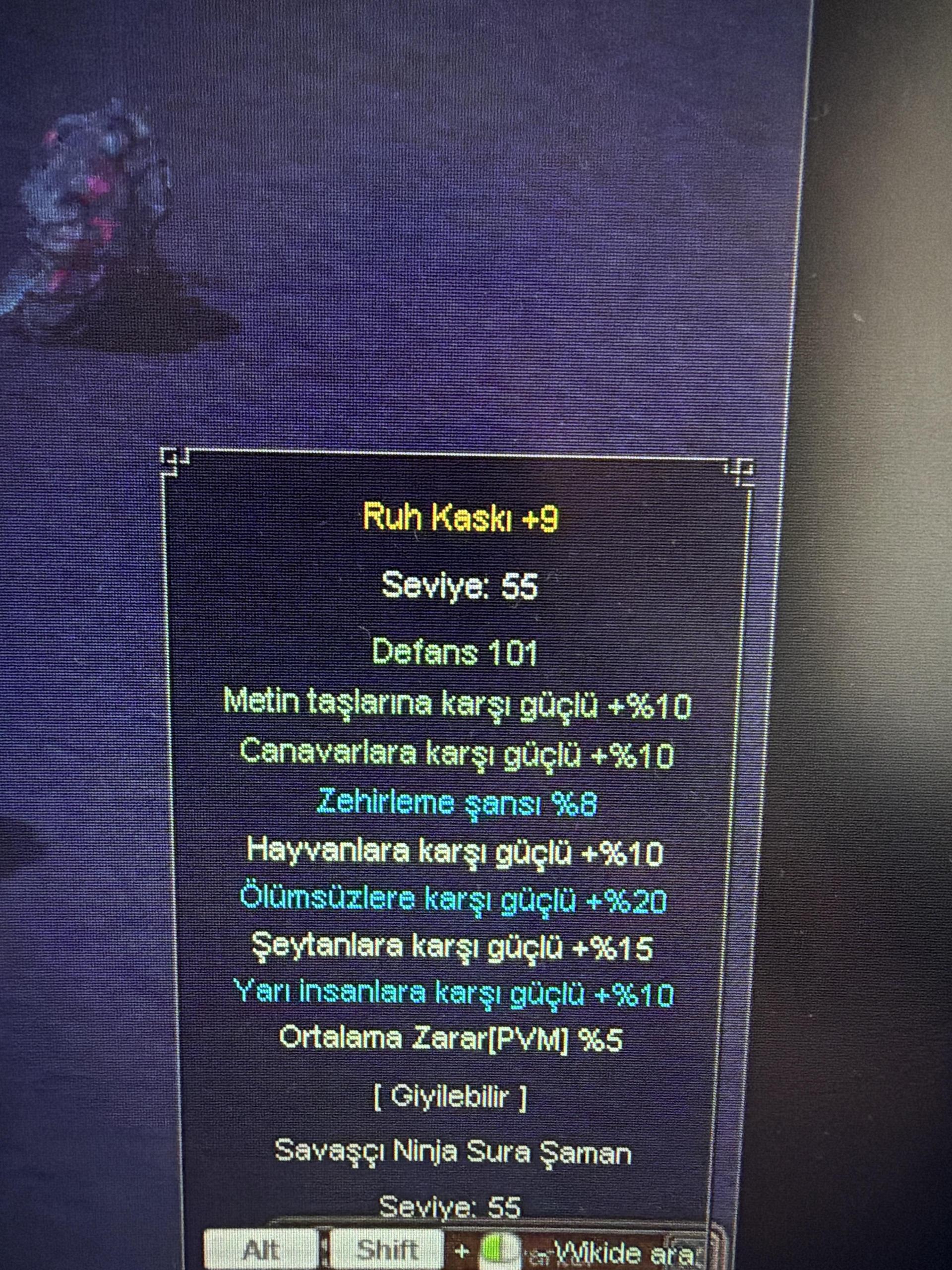 +9 RUH KASKI