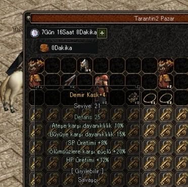 +4 DEMİR KASK ELİT İTEM