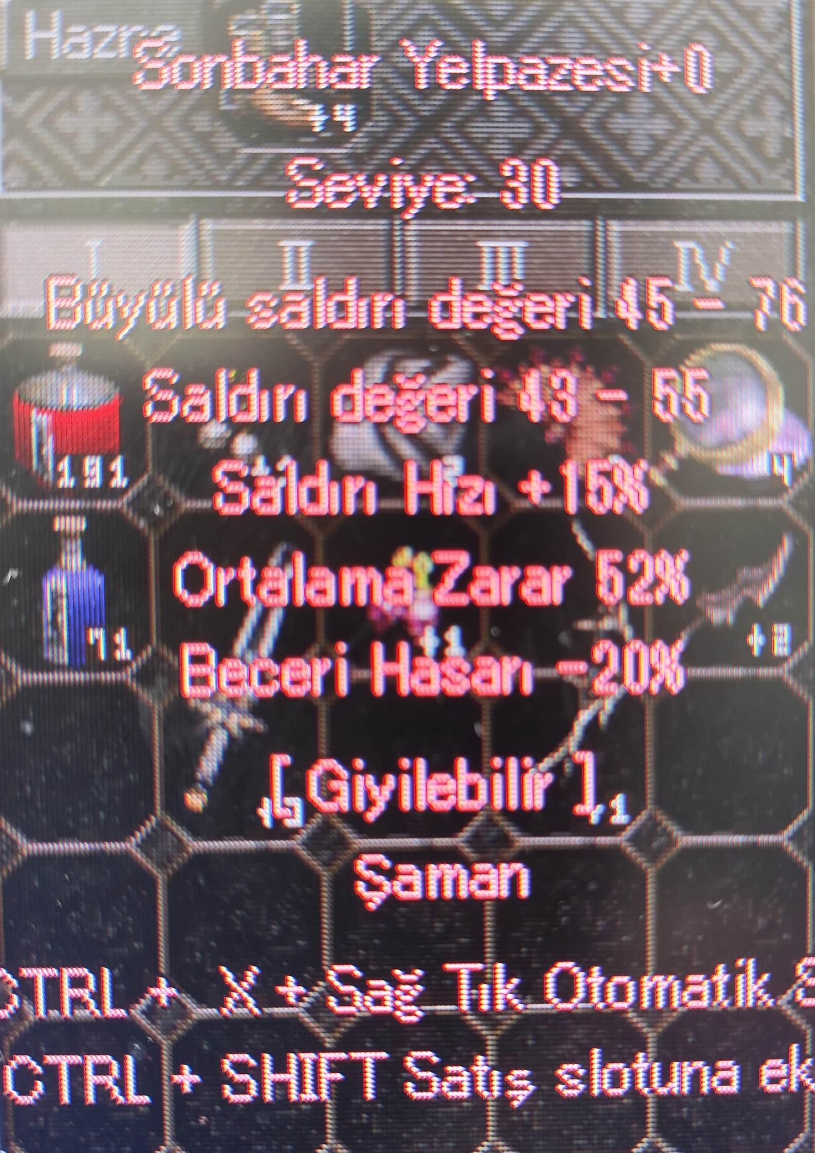 52 ORTALAMA SONBAHAR YELPAZESİ