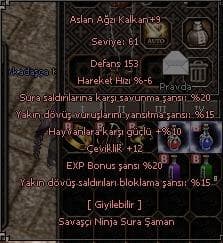 +9 ASLAN AGZI SERI TESLIMAT