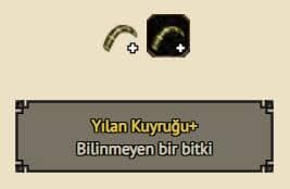 20 ADET YILAN KUYRUĞU +
